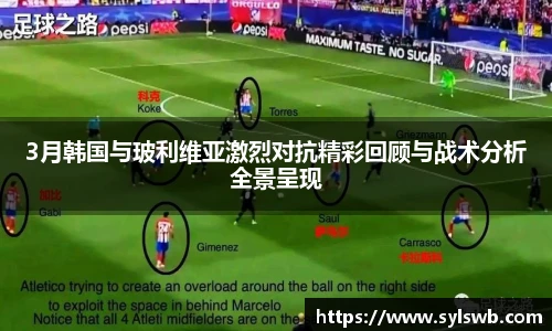 三亿体育